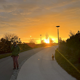 Sunset. Woman and dog walking towards the camera.