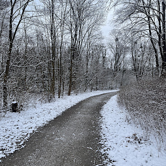 Winter scene.